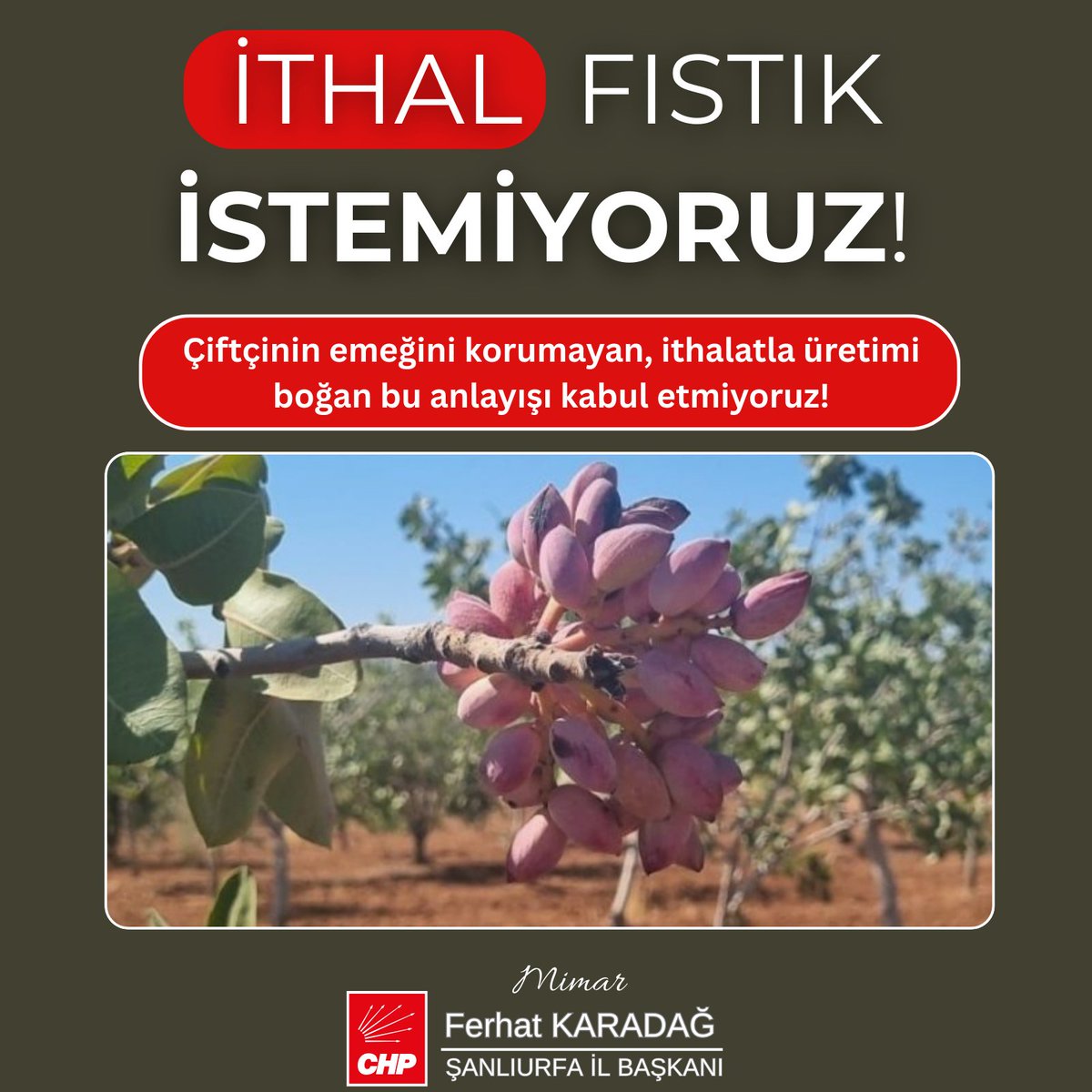 Akp hükümeti yine yapacağını yaptı, çiftçinin ocağını yaktı !

📌Hükümet, Buğday ve mısır Üreticilerini mağdur ettiği gibi bugün de maalesef FISTIK Üreticilerini mağdur ediyor. 

📌Amaç belli: yurt dışından fıstık getirip, ülkemizdeki fıstık fiyatlarını aşağı çekmek ve ardından