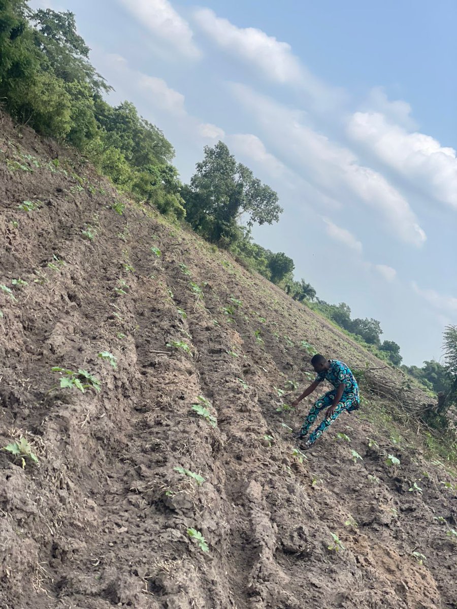This land will soon be a home for farmers, not just soil and water. 🌾
#CommunityFarming #EffectFarmer