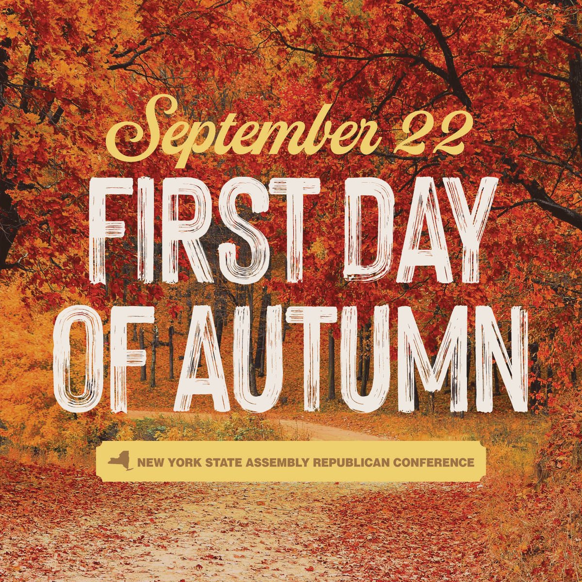SmullenNewYork's tweet image. Happy first day of autumn, everyone! #HappyFall