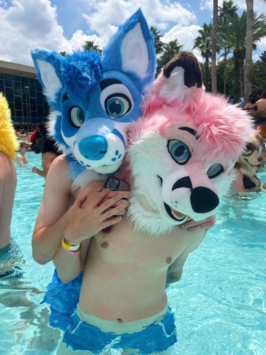 “Got any more gummy sharks?” 🥺

“…maybe” 🩷

🦊 <a href="/northernbluefox/">North</a> 💙

#furry #fursuit #fursuiting #fox #megaplex #furries