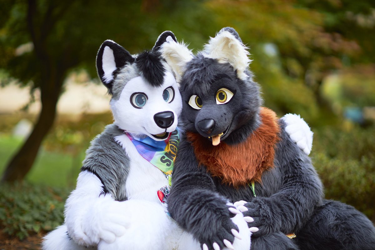 Happy #InternationalHuskyDay 🐾
Make sure you exercise your Husky in a species-appropriate manner 🎈🎈

#furry #furryfandom #FursuitEveryday