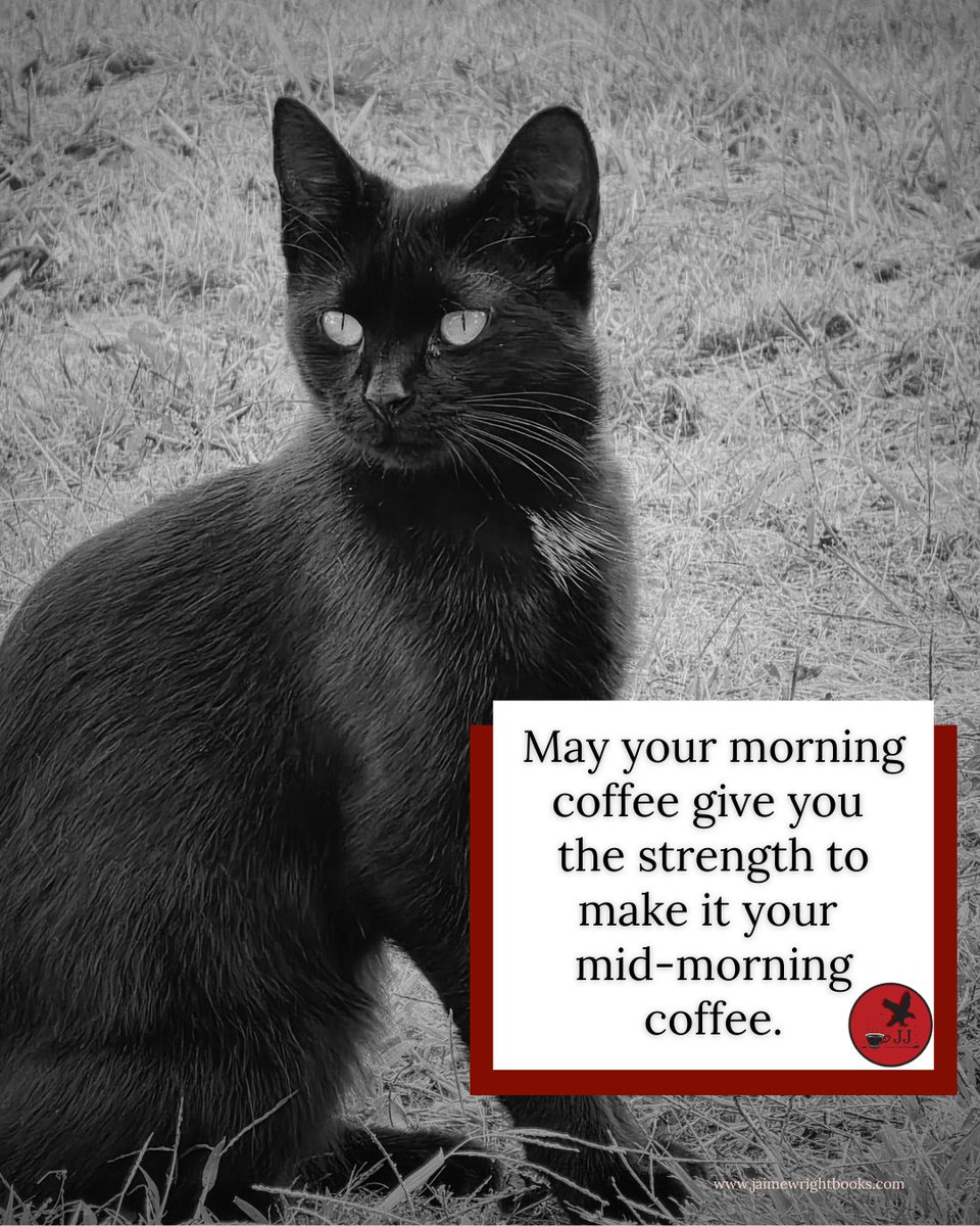 Mid-Monday check in! You all hanging in there? 

#TheFerals #EmmyGirl #JaimeJoWright #ReadtheWrightBook #JaimeWrightBooks #cats #catscatscats