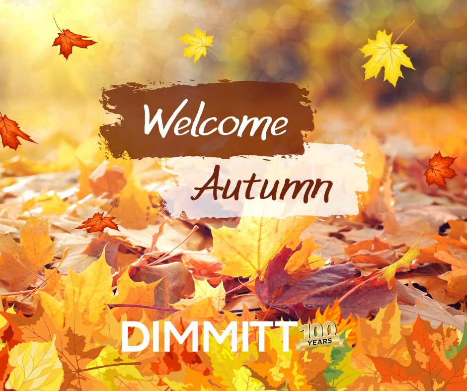 🍁Happy First Day of Autumn!