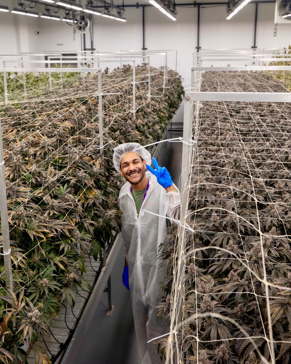 Bitties ⚡️ tweet media