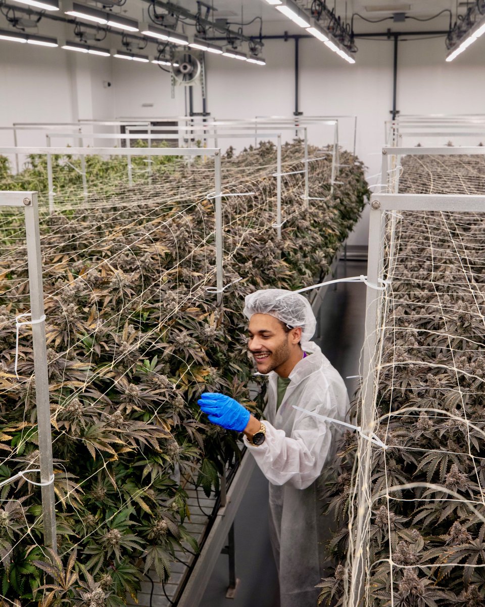 Bitties ⚡️ tweet media