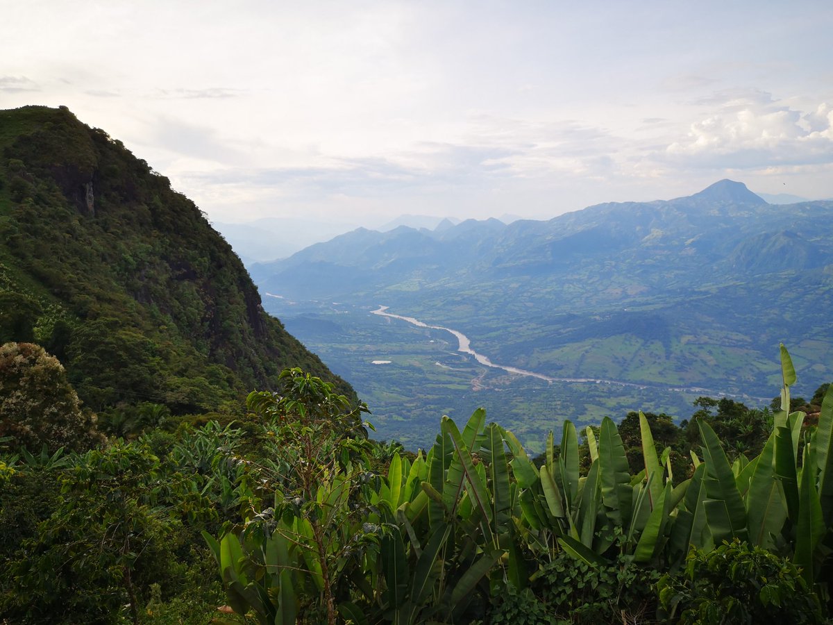#ConfioEn que <a href="/MinAmbienteCo/">MinAmbiente Colombia</a> contratará pronto los estudios para la #ReservaTemporal del Suroeste antioqueño que ahondará en el conocimiento de las aguas subterráneas e impedirá la nefasta minería metálica. <a href="/petrogustavo/">Gustavo Petro</a> <a href="/IreneVelezT/">Irene Vélez-Torres</a> <a href="/tatianaroaa/">tatiana roa avendaño 🌎☘️🌿☀️</a> #FueraAngloGold #JericóSinMinería