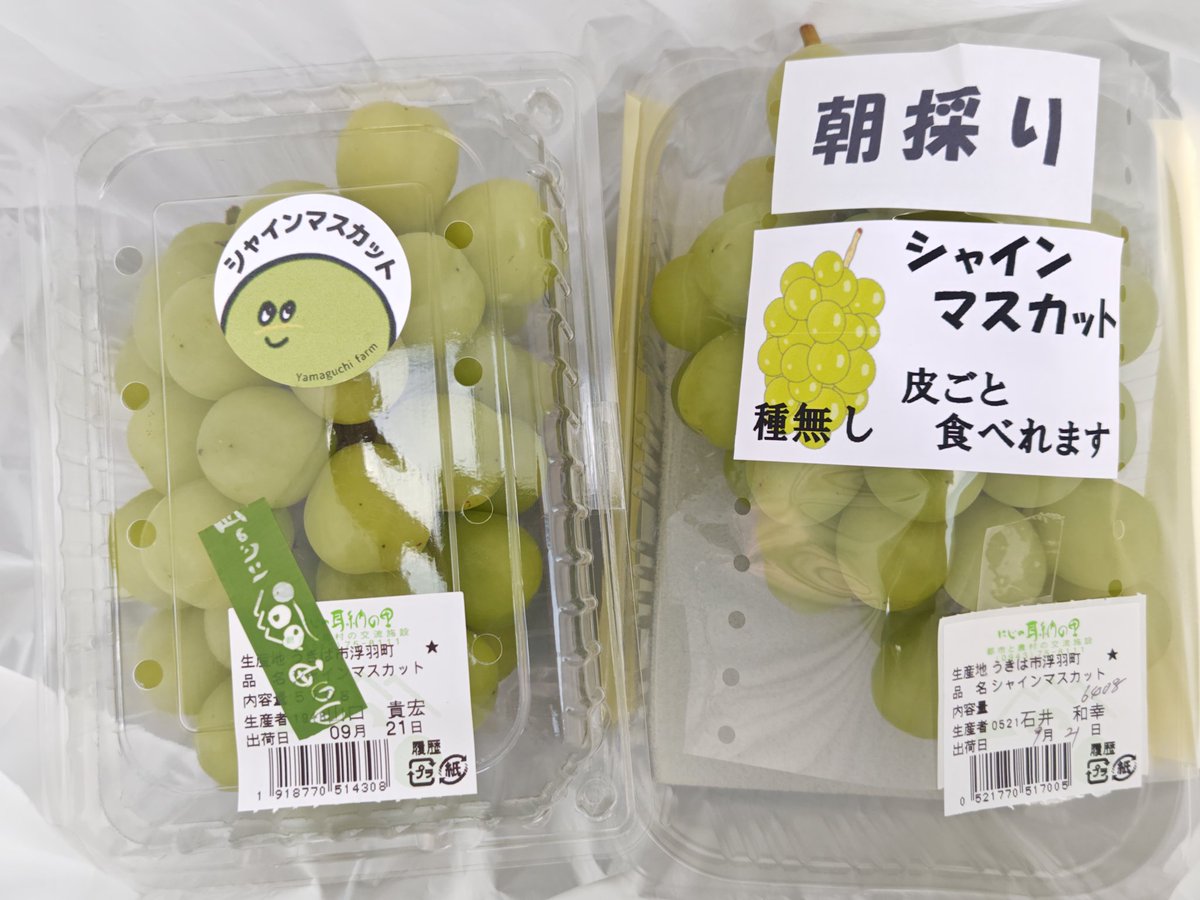 そういや昨日うきはまで柿買いに行ったけどあんまり出てなかった。

まぁ秋の味覚だから早いよね。

でも折角なのでﾏﾏﾝのため西村って品種の柿購入。

あとシャインマスカットも。

差し入れにあげちゃったけどね。