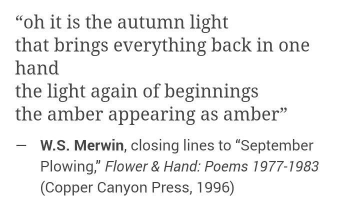 faeslily's tweet image. welcome, dear autumn 🍂