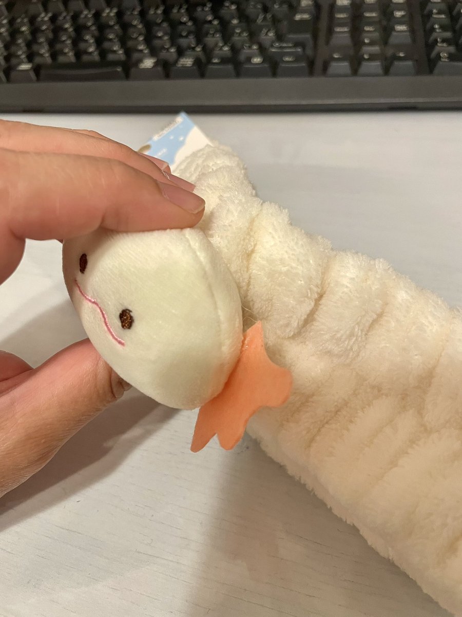 ウーパールーパーペア ウーパールーパー | リューシスティック ベビー - 観賞魚用品専門 和香