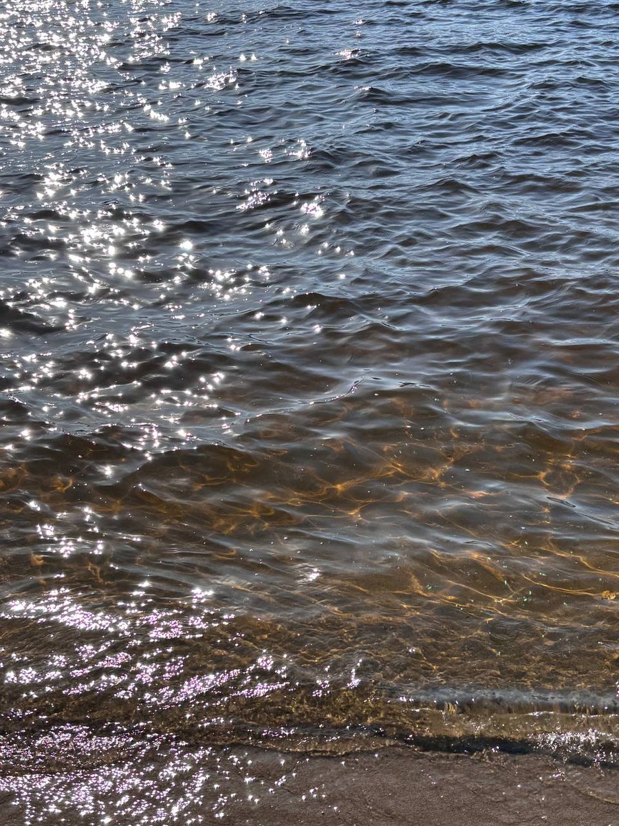 W1OO1OU2's tweet image. @DSCSOOY 💭🩷