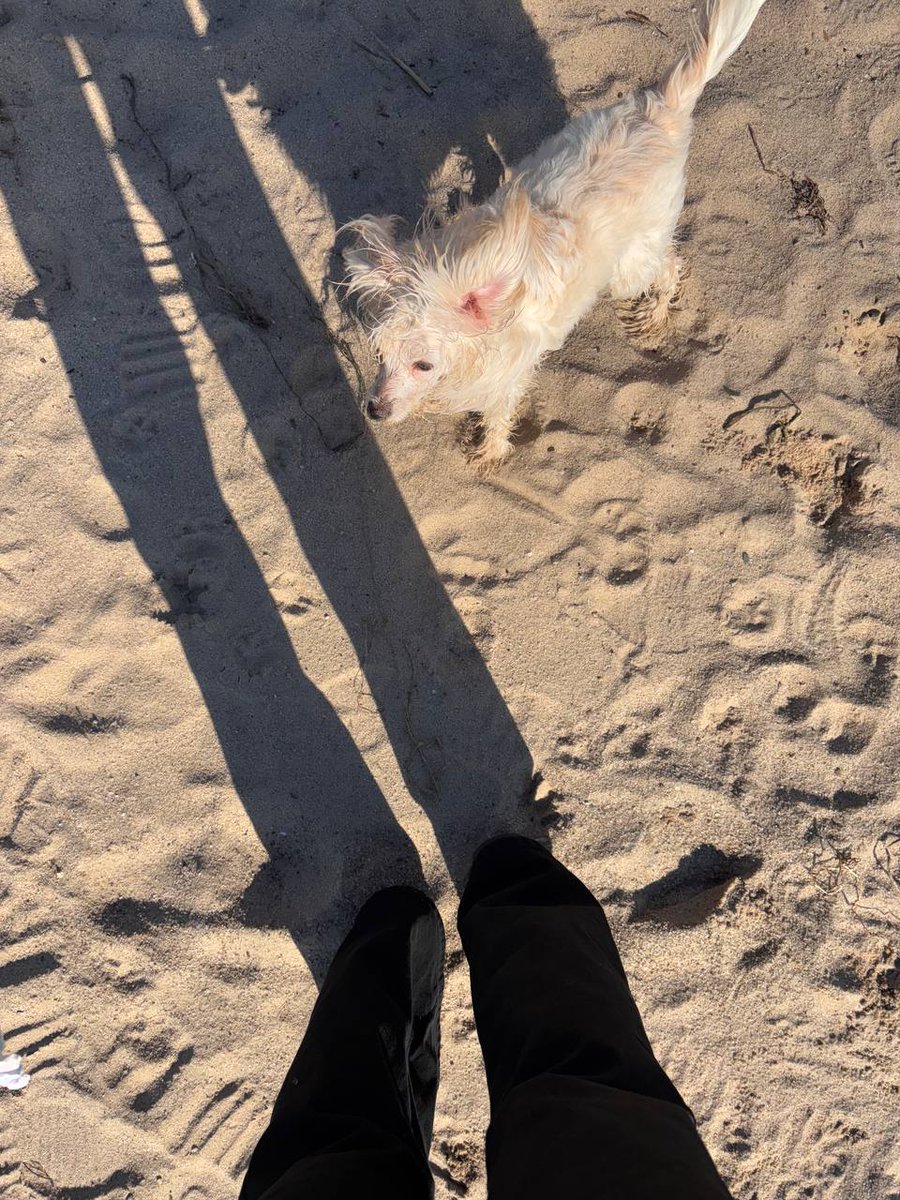 W1OO1OU2's tweet image. @DSCSOOY 💭🩷