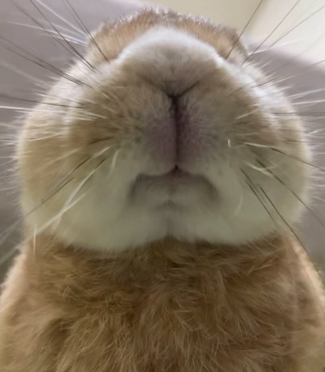 た…たまらん…Y…🍙…🌰…🤤