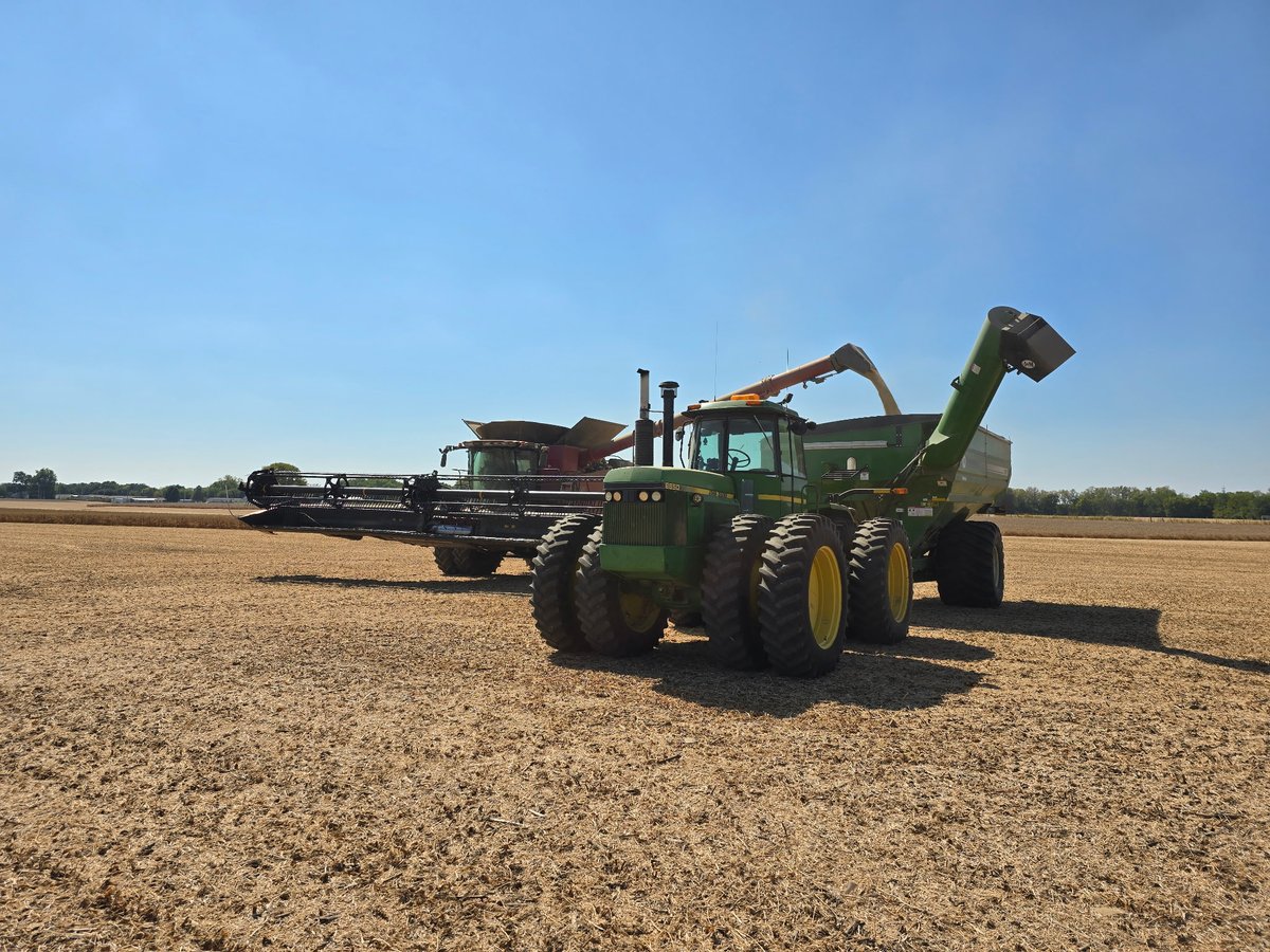 SunriseCoopOH's tweet image. Harvest is officially here! Last week two of our #PCTSunrise #plots came off. @BrevantseedsUS and #Xitavo yielding well for #harvest2025. 

#BioBuild #biostimulants #BioTrac-L #SunriseCooperative #cropnutrition #OhioAgriculture