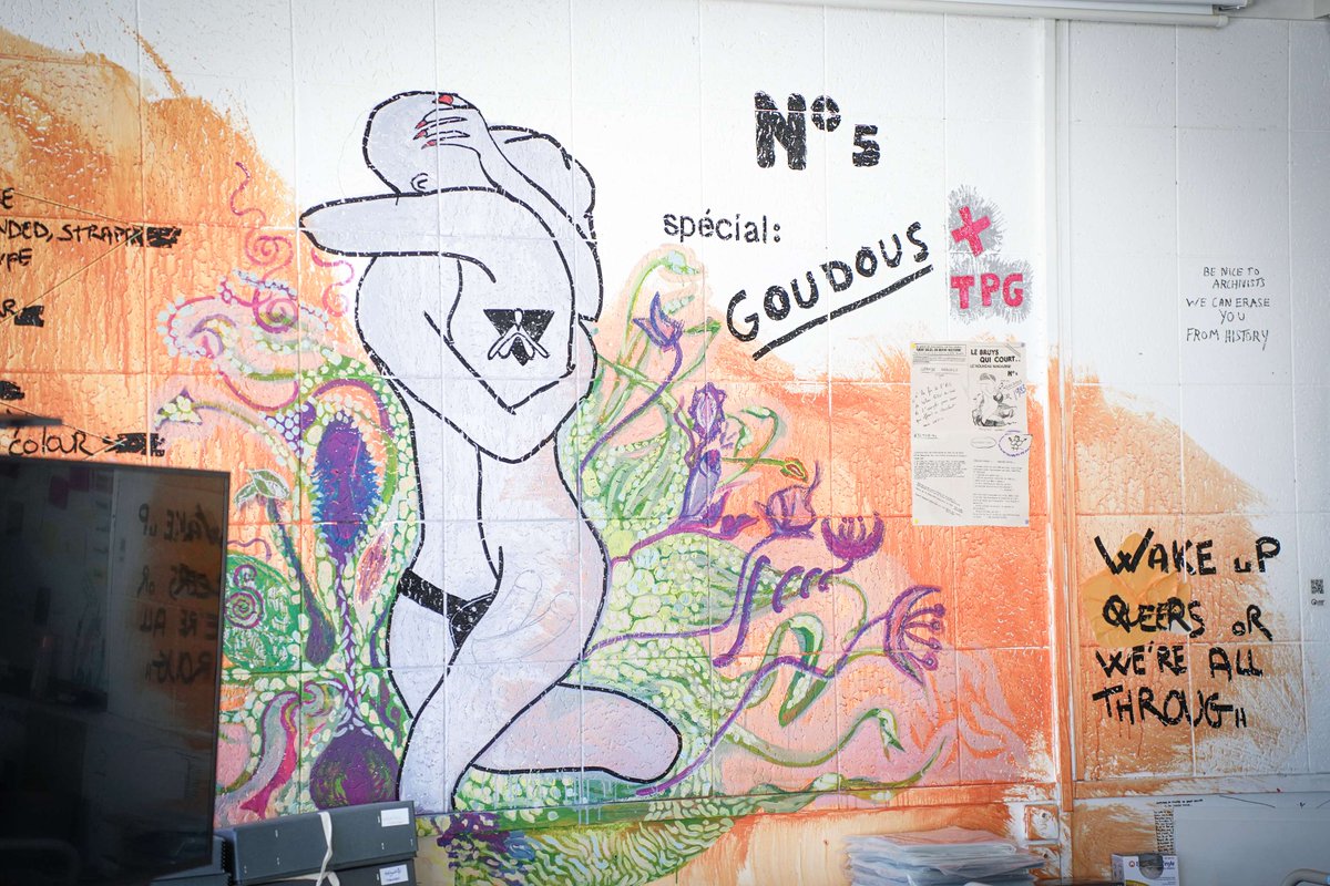 Visite incroyable avec mes camarades Danièle Obono et Sarah Legrain au Centre des Archives LGBTQIA+ de Paris ! Le travail de ces militant·es est précieux : il permet une mémoire populaire de nos luttes et de notre culture, et offre des espaces de résistance aux assauts des