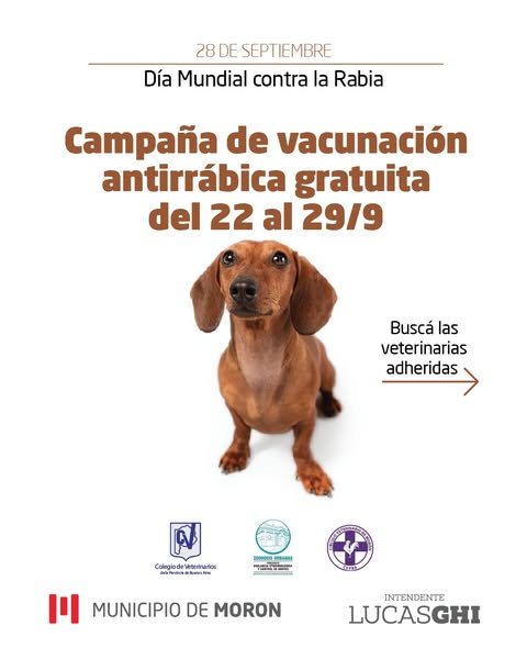 Municipio de Morón tweet media