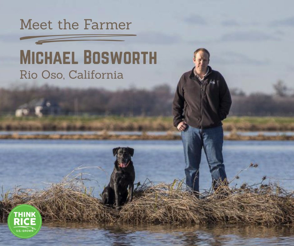Michael Bosworth is a California rice farmer committed to local wildlife conservation who subscribes to a holistic approach on his operation: “I need to farm rice 180 days a year. The key is figuring out how to maximize the benefits of the land year-round.” #ThinkRice💚