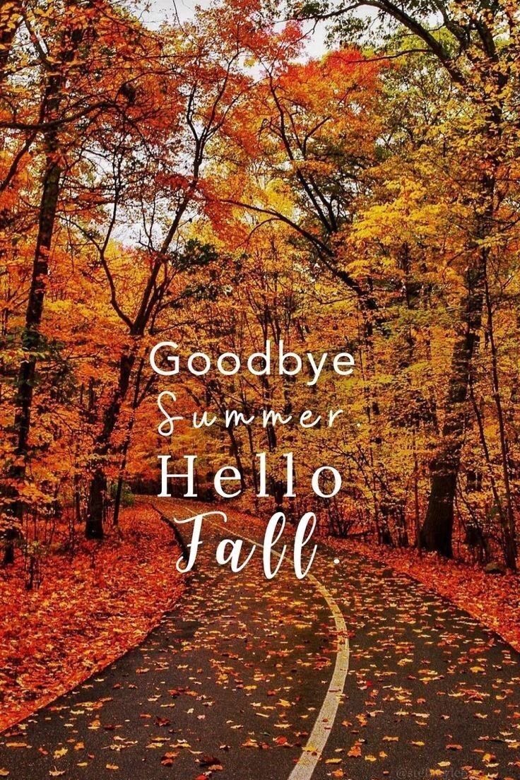 ShonnaC21's tweet image. Good morning! #HelloFall