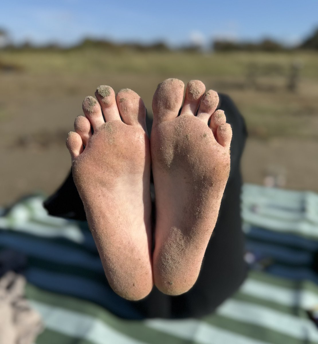 PlaySolesss's tweet photo. The sand clings—just like your devotion
#feetworshi̇p #feetfetısh #findom 
@rt_feet @FeetToesSoles @The_best_feet1 @FaDo_FinSupport @ModelBonanza @feetpuppy90 @feetandsoles5 @payherfeet https://t.co/BLvCU5J52Q