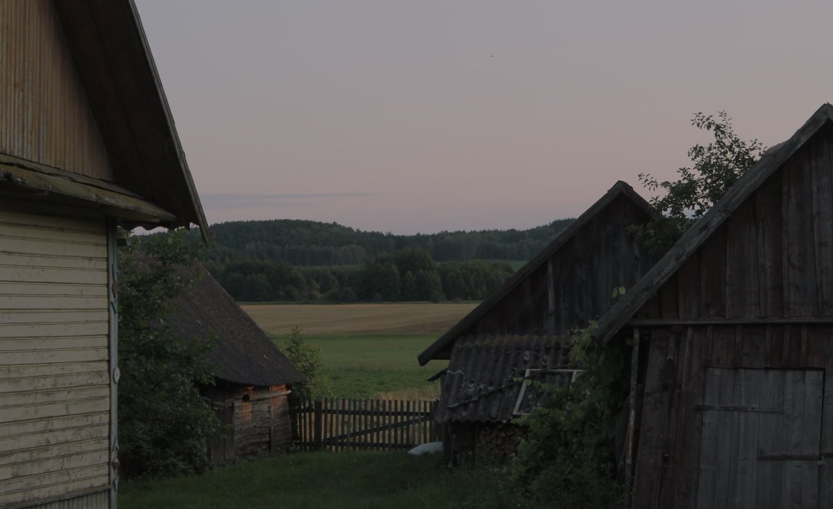 kvadratc's tweet photo. И немного фотографий, сделанных мной в середине лета, ха! https://t.co/vLvqVRLH4N