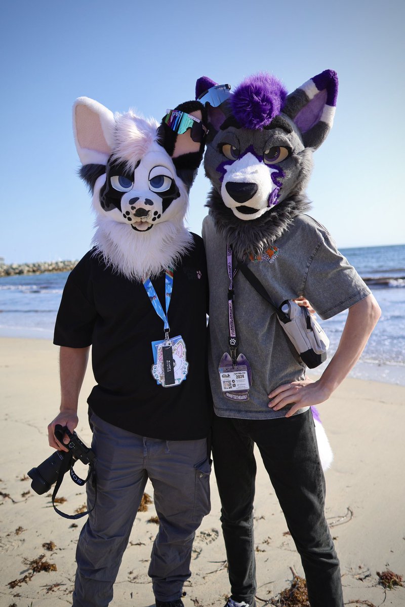 Drifter! 🔜 Paws Outdoors & VICE (@drifterthewolf) on Twitter photo Basking in the sunlight ☀️
<a href="/dadogmutt/">Mutt🔜WAFF</a> 
📸: <a href="/cyrenfolf/">Cyren</a> 
#WAFF Basking in the sunlight ☀️
<a href="/dadogmutt/">Mutt🔜WAFF</a> 
📸: <a href="/cyrenfolf/">Cyren</a> 
#WAFF