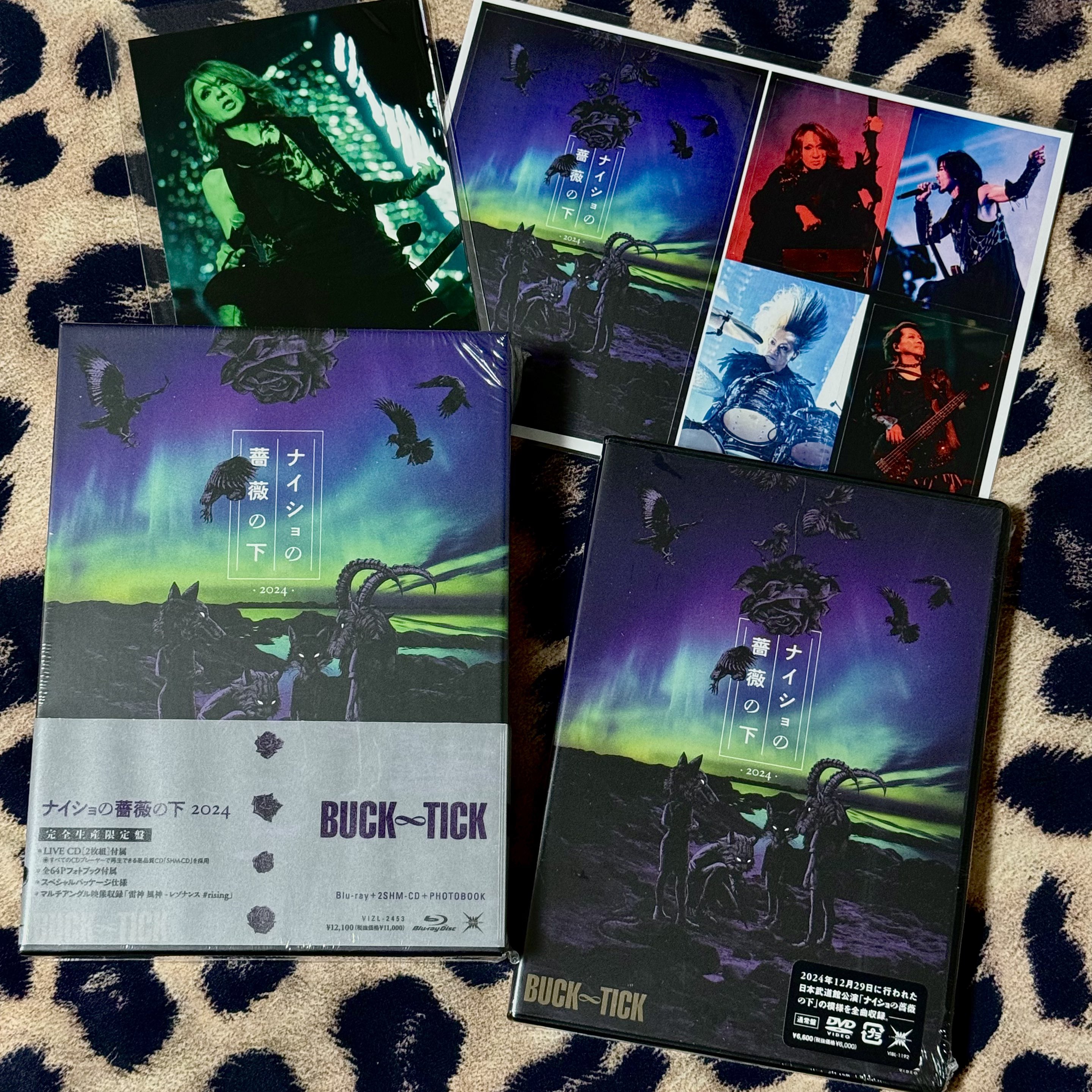 BUCK-TICK／ナイショの薔薇の下 2024 [DVD] BUCK-TICK／ナイショ