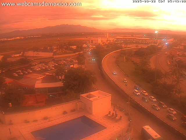 Webcams de México tweet media