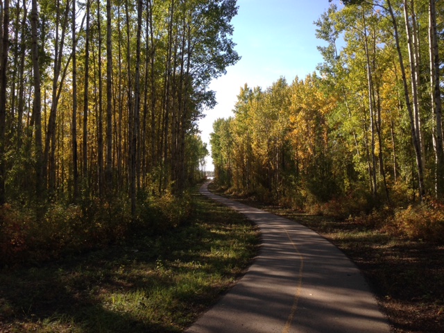 listingpanda's tweet photo. Triple 3 home - 3 story 3 bdrm 3 bath on 4.6 acres ready to make all your own inc garden area, storage sheds and tons of mature trees - all for $320,000 - click LINK for more details.....
https://t.co/QNZiOeDP2K
#realestate #canada #simplicity #albertare #offgrid https://t.co/9y3yMZgqyc