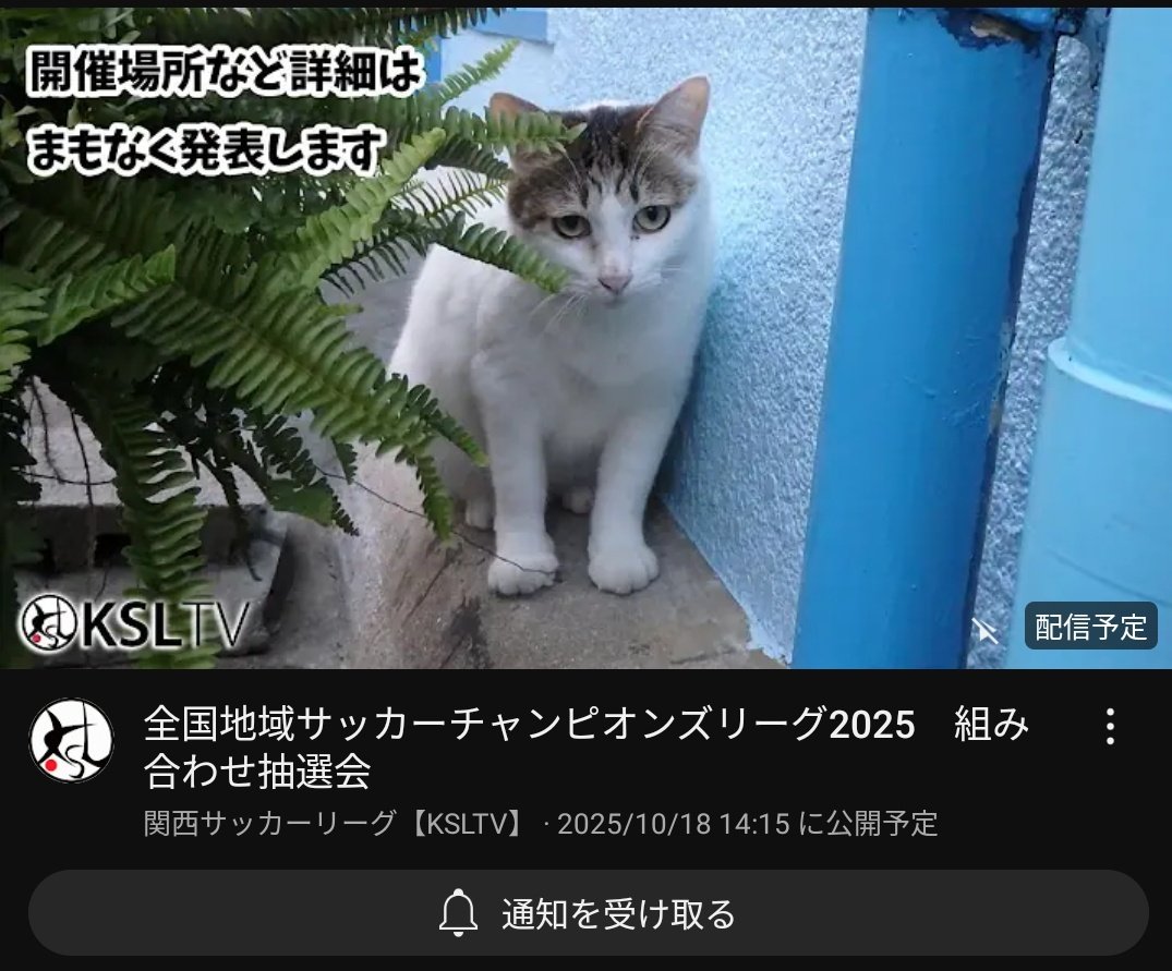 ﾁﾗｯ なんかあった……。 まだ25日も前(10/18)なのに、ご準備頂いて