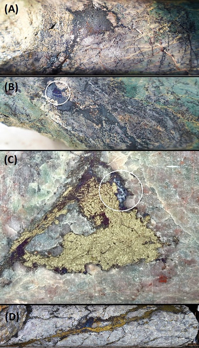 ICYMI: Last week, Hercules Metals announced that it intersected high-grade copper mineralization and found further evidence of hypogene enrichment at Leviathan. 

Here's a closer look at core from Hole 25-02, our first completed drill hole from 2025.

Description:
(A.) Hypogene