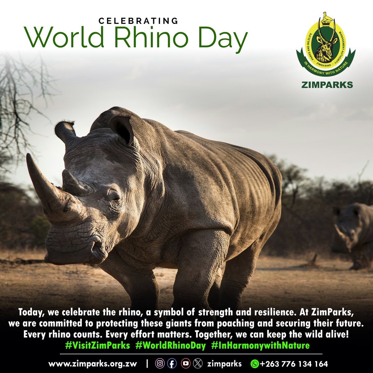 Celebrating World Rhino Day!!!!