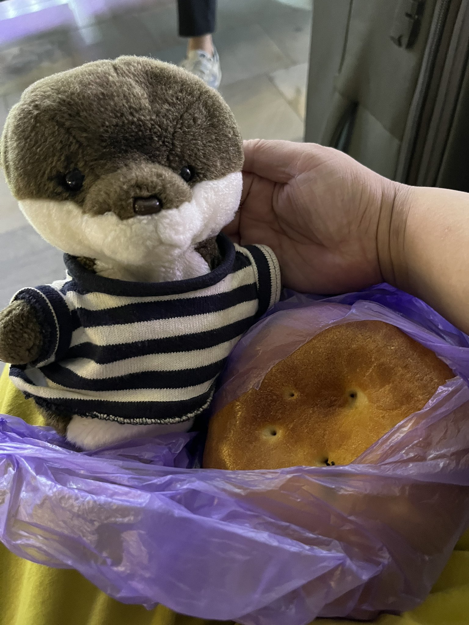 ⭐️ゲンゲンページです⭐️ KENZO PACE LOW TOP SNEAKERS Silver （ケンゾー ペース ロー