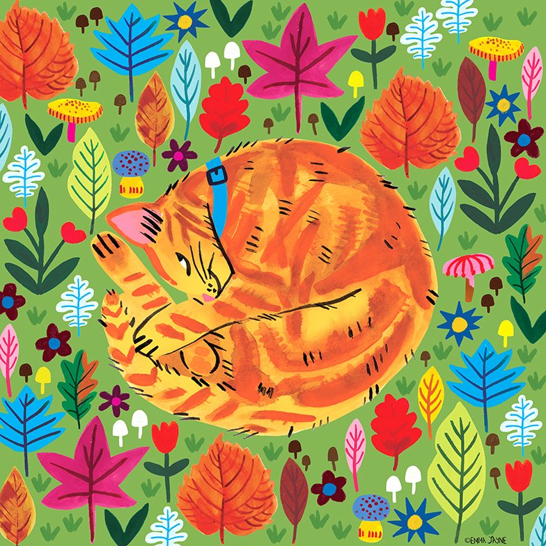 emma_j_designs's tweet image. While I work on new artwork, I'm sharing an oldie from a couple of years ago. Not so sleeping Kitty 🐱🍁🍄

#kittycat #illustration #kidlitartist #childrensillustrator #illustrator #freelanceillustrator #picturebookillustrator #boardbookillustrator  #nonfictionillustrator