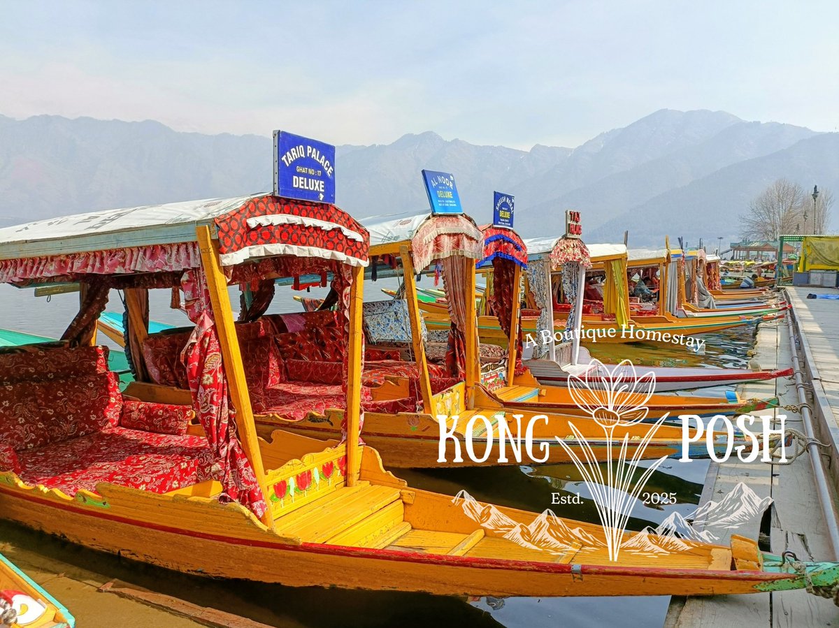 डल की ख़ामोशी में जब लहरें कहानी कहती हैं,
शिकारों की चाल पे दिल भी सफ़र करता है।

#KongPosh <a href="/TheGuidingMonk/">The Guiding Monk Hospitality</a>