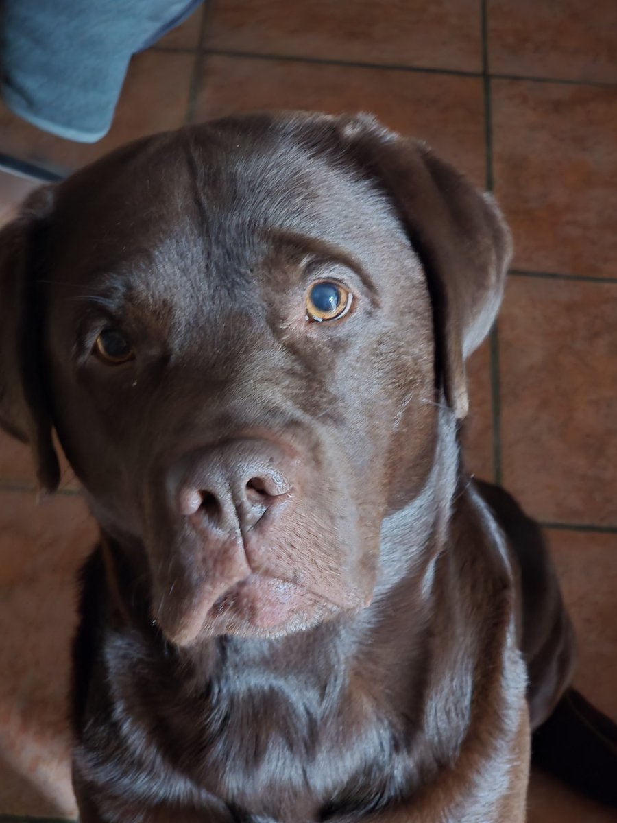 Frikadelle alleine essen macht dick. 🧐