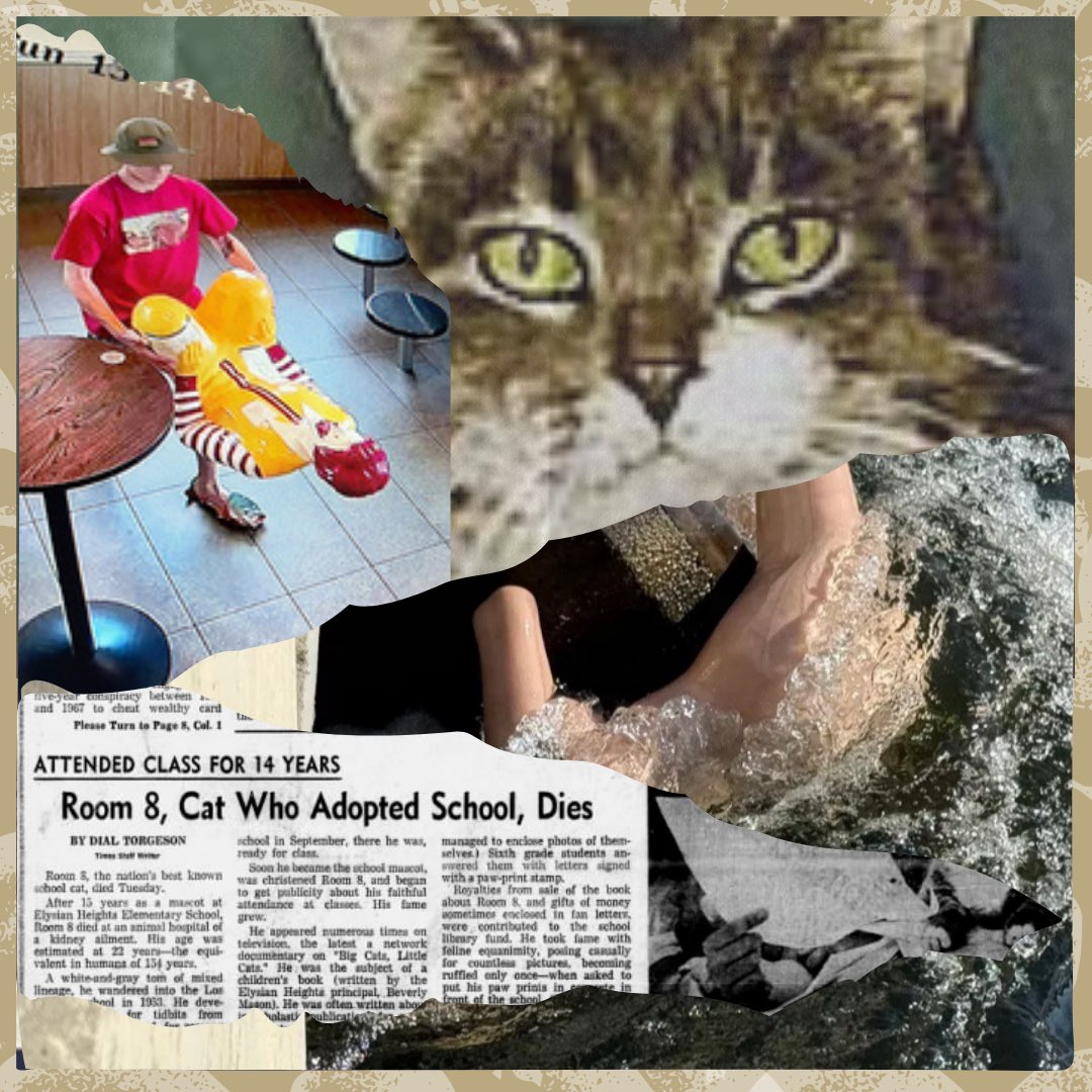 GACC is OUT NOW!! This month, the gals invite <a href="/StevenRayMorris/">Steven Ray Morris</a> on to gab about cats in baskets, pettiness with a capital “pee,” the cutest little classroom assistant, unicorn permits, and Lucy’s really great aunt. Tune in now for September’s episode of Gossip at the Corpse Cart!