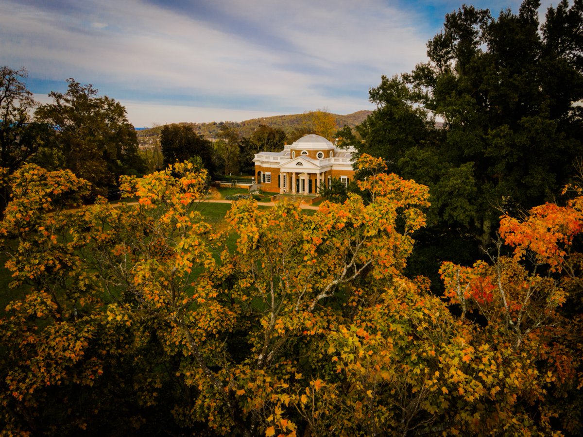 Monticello tweet media