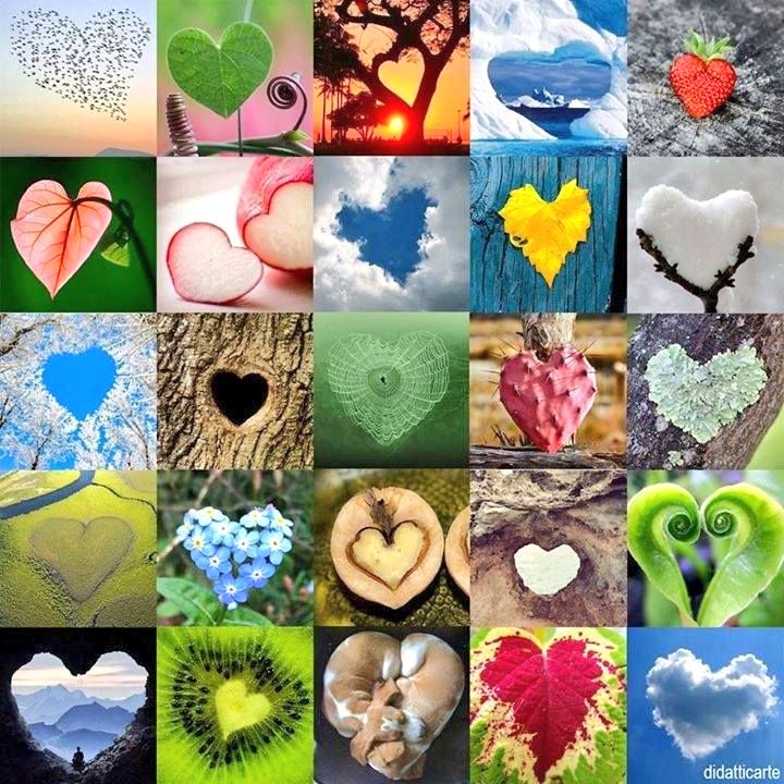 De.."todo".. Corazón.
(En la naturaleza.)
💛💚🧡❤️🩵💙🩷💜