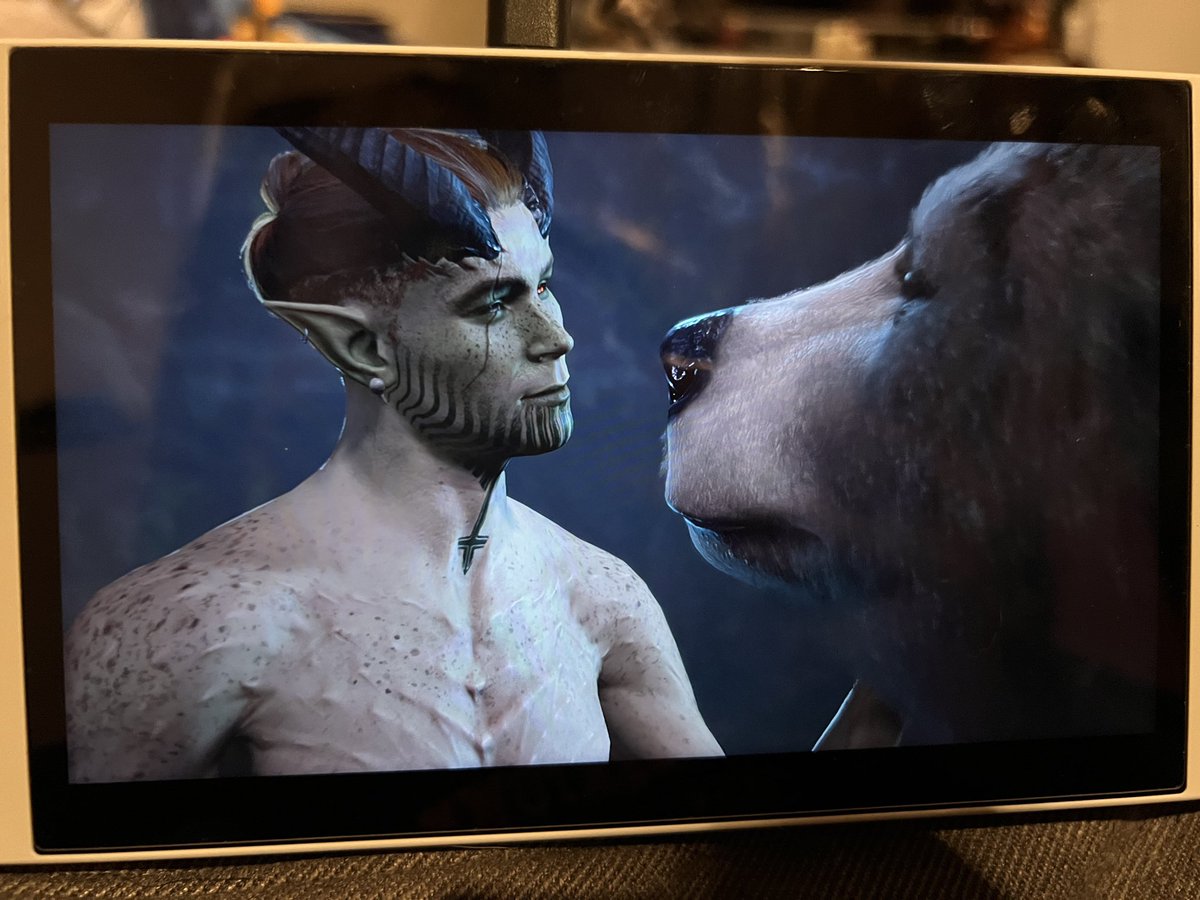 hallownking's tweet photo. Ofc I romanced Halsin as the bear https://t.co/IRGoEIbjdA