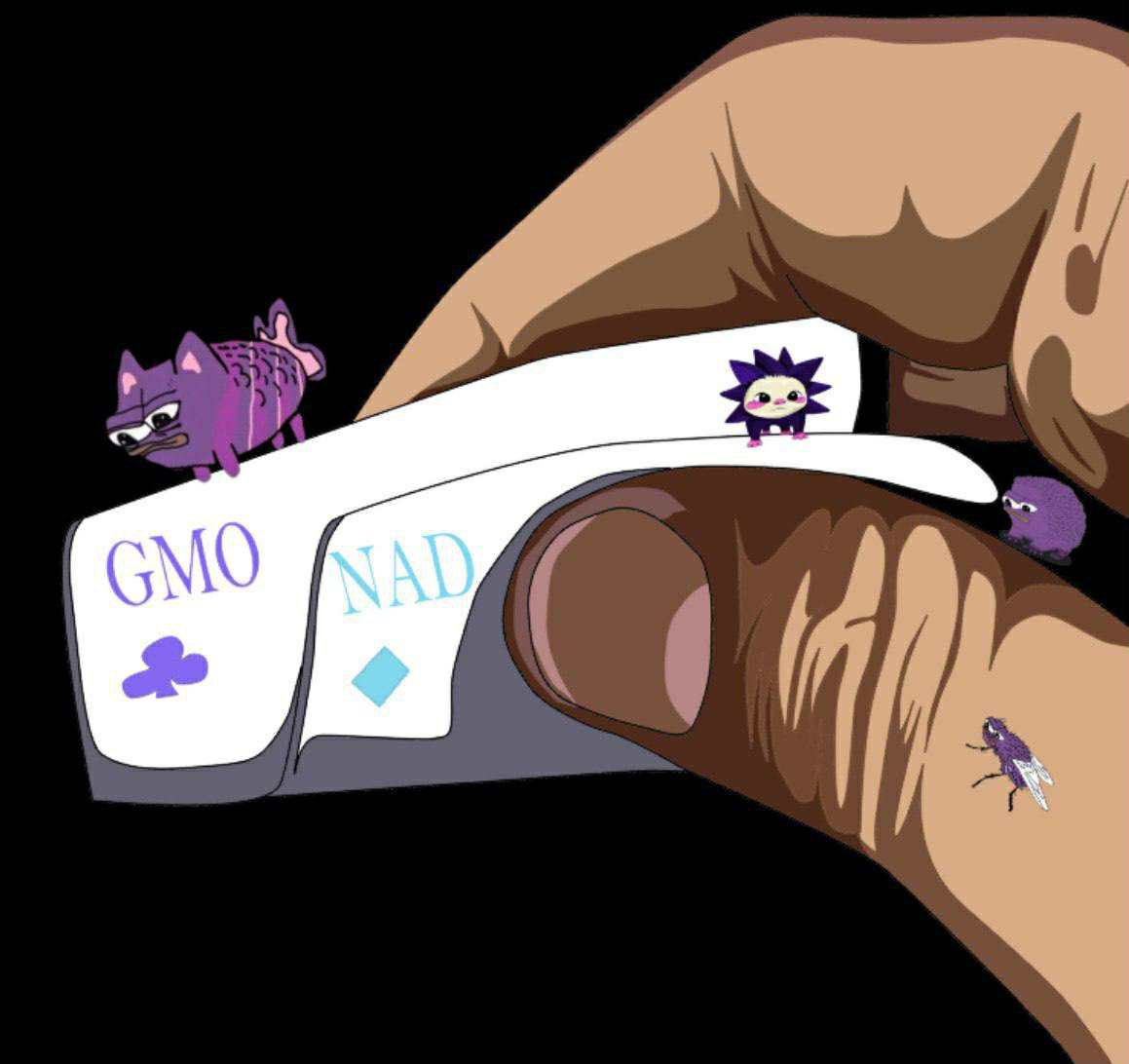 Lolipop (evm/acc) ⌘ tweet media