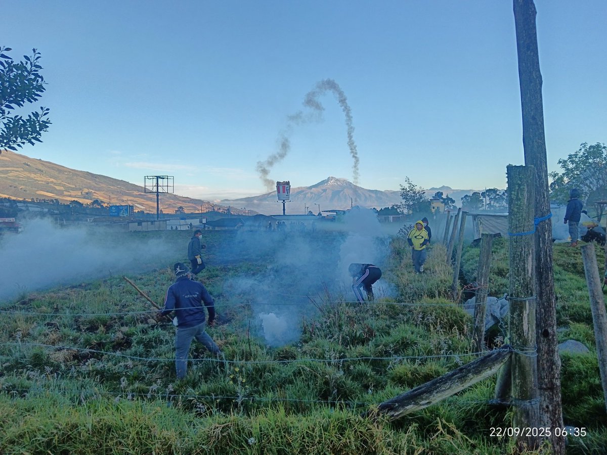 👁️‍🗨️ Market Tendencia tweet media