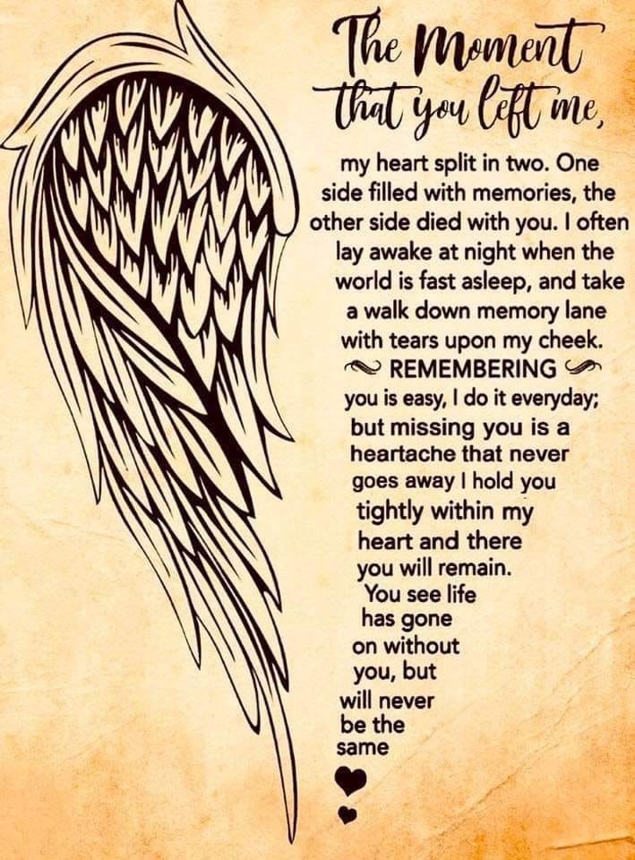 TheRealAMR79's tweet photo. @MarkRPellegrino So sorry for your loss. Sending you hugs and love. https://t.co/vYpKpQxTzV