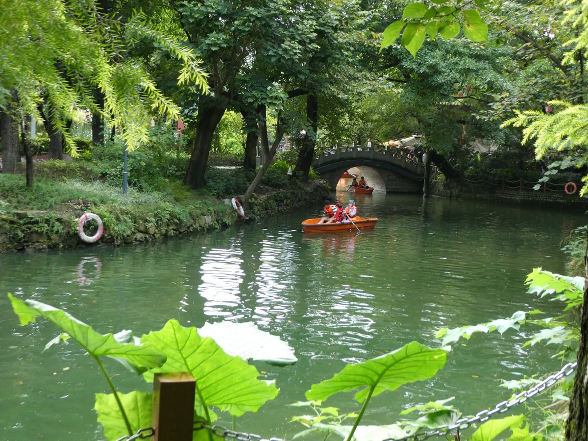 Asha Tanna tweet media