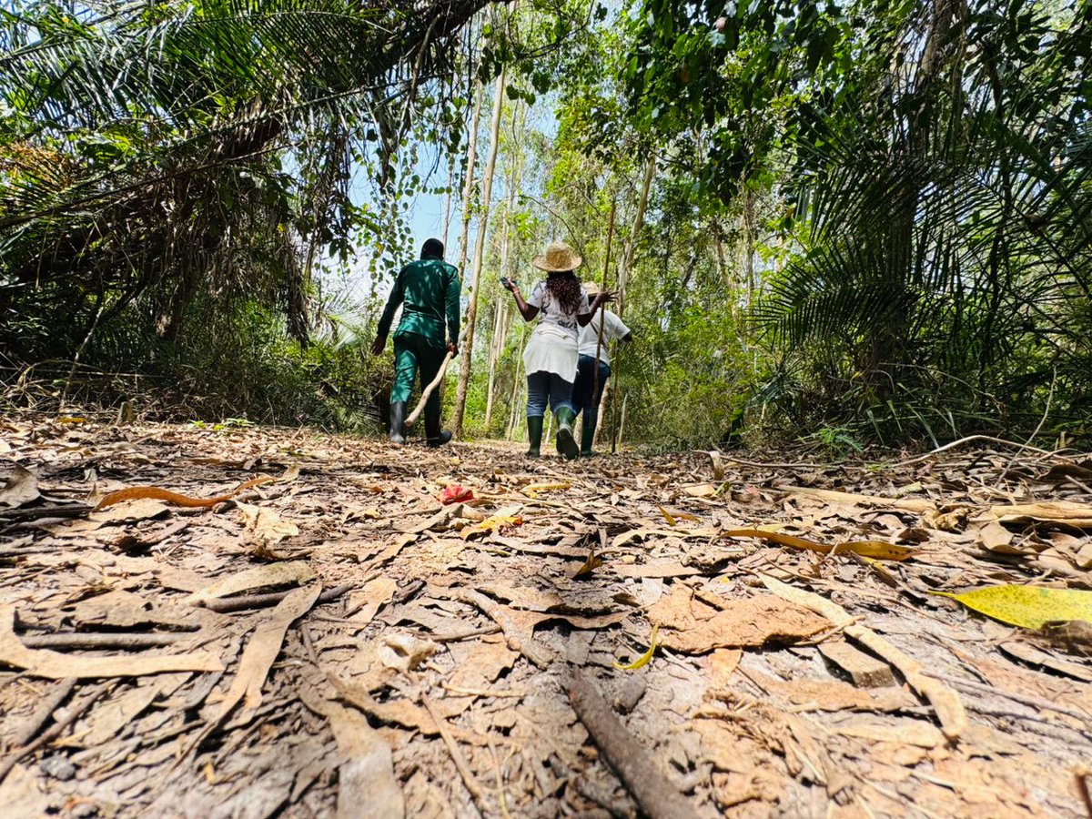 CompoundUganda's tweet image. We often talk about what nature gives us to use — food, water, shelter. 
But what about what it gives us to feel? 
Recreation. Ecotourism. Values. Heritage.
What part of nature’s cultural services have you taken for granted?
#NatureMatters #CulturalServices #Ecotourism
