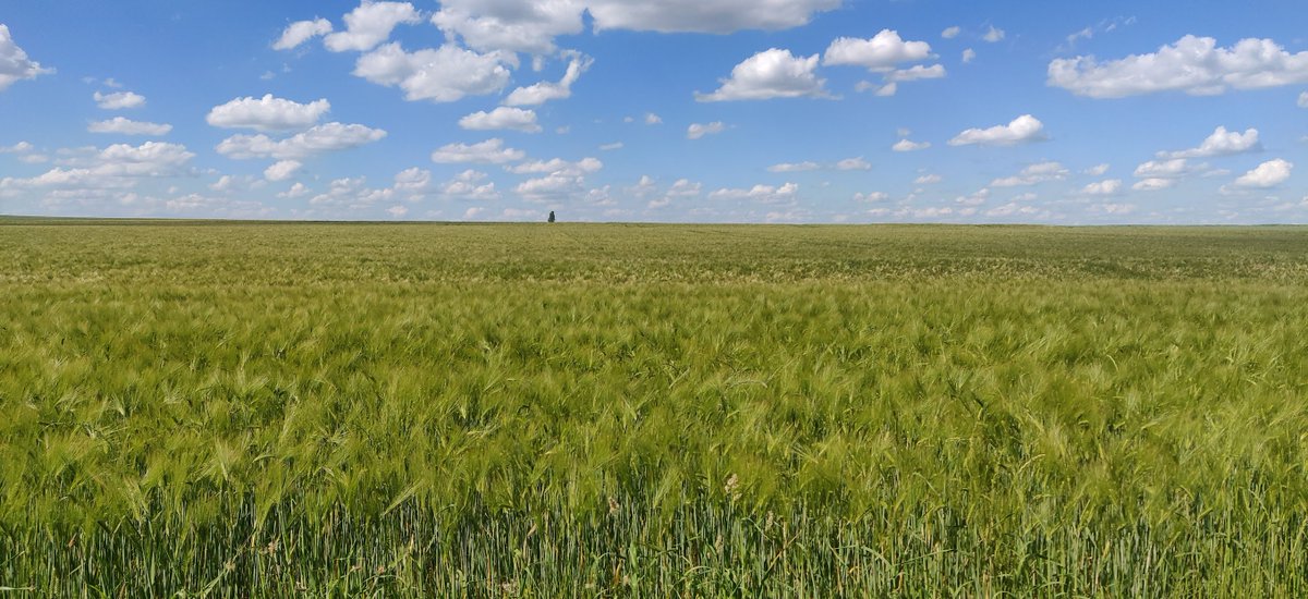 Stephen MΞSNILDRΞY 🍿 tweet media