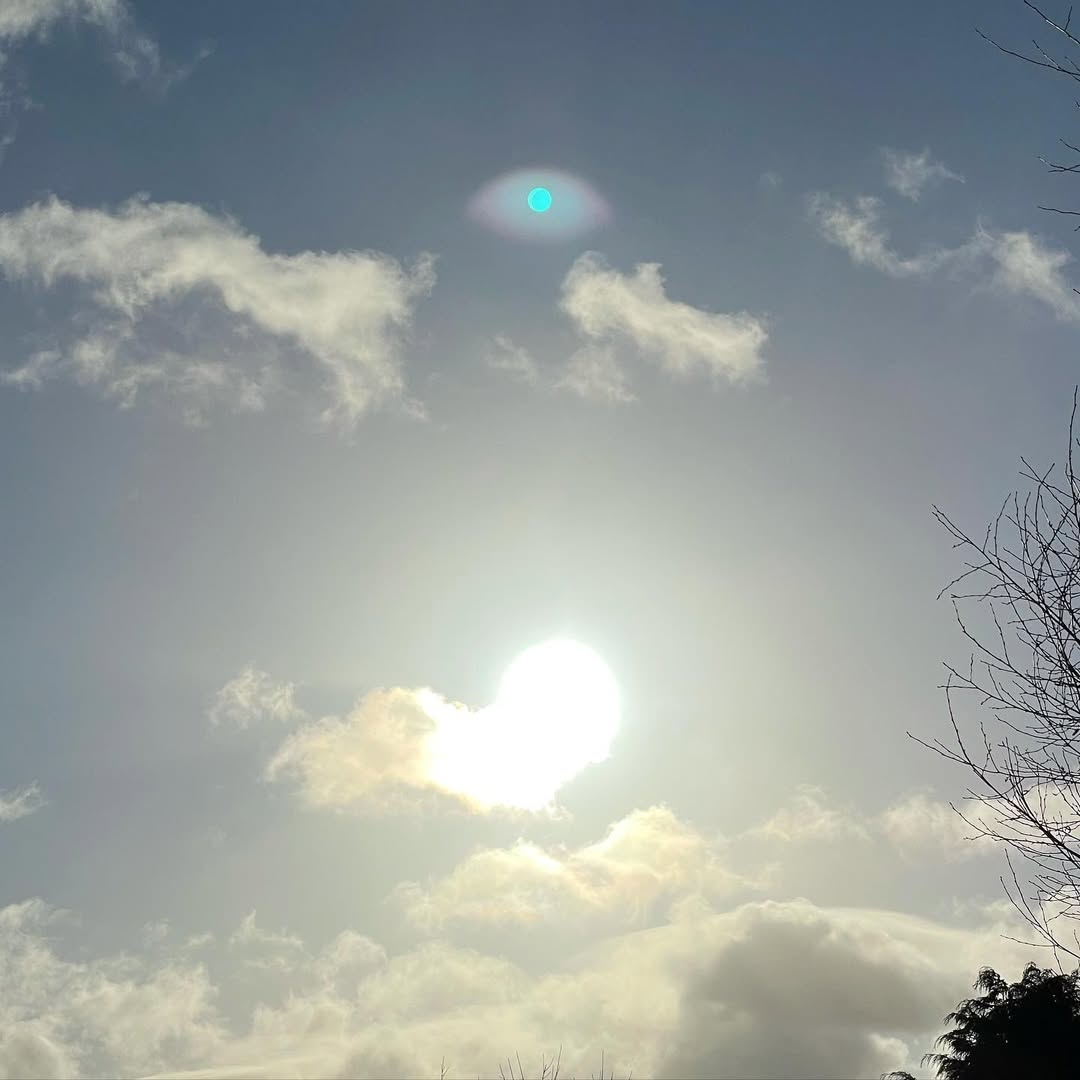 cloudifyart's tweet image. Strange meeting (anyone else get these green dot artefacts on iPhone photos?)