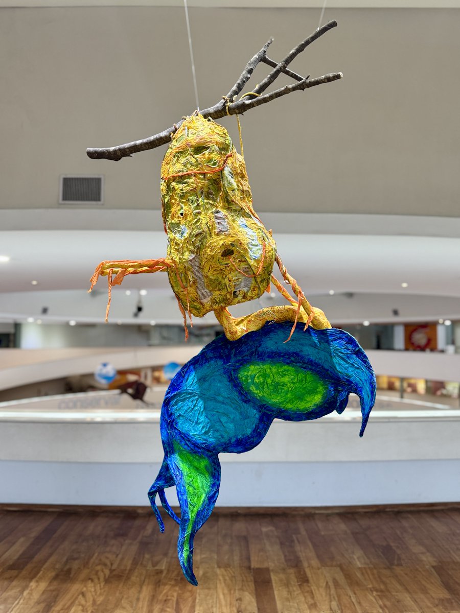 Museo Ciencias Cba tweet media