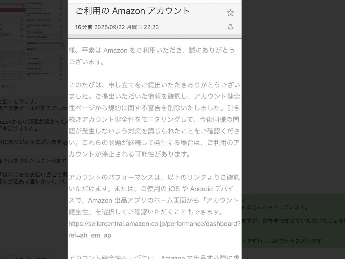 【✩.*˚】ご本人以外は購入をお控えください 偽サイトにご注意ください！！！