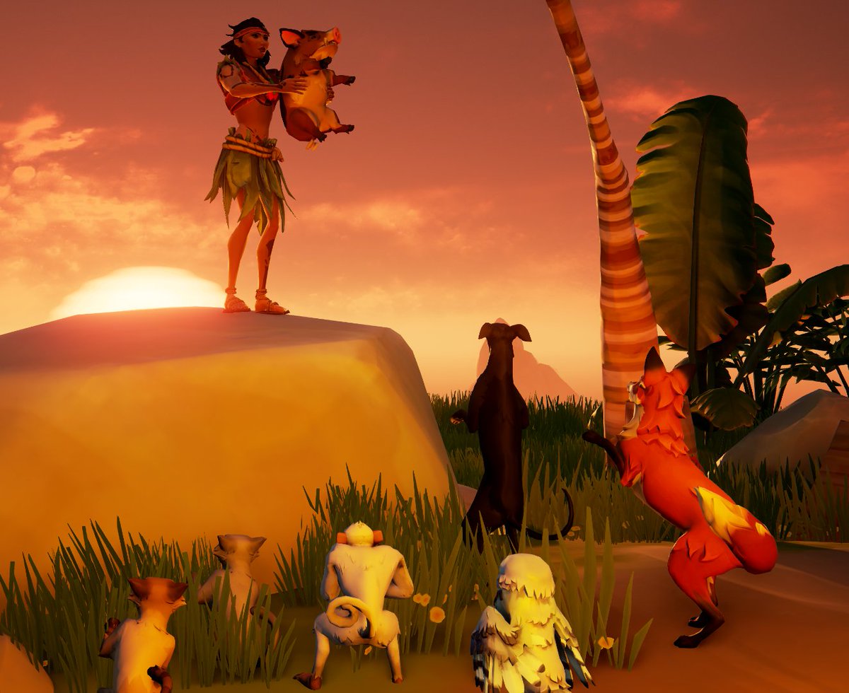 Plejka93 tweet media