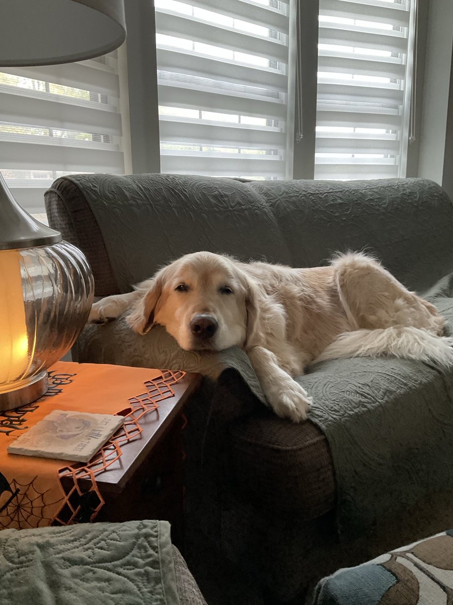 Pure Huckleberry morning❤️