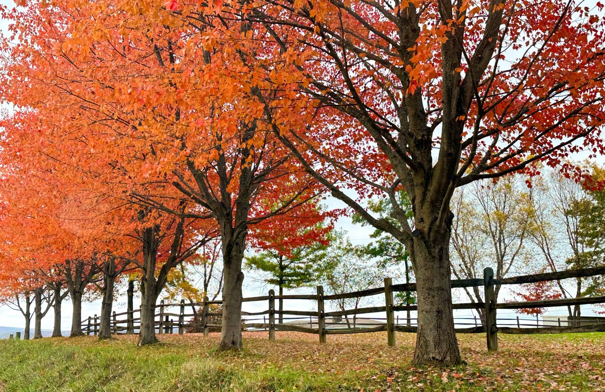 Fayette County PA tweet media